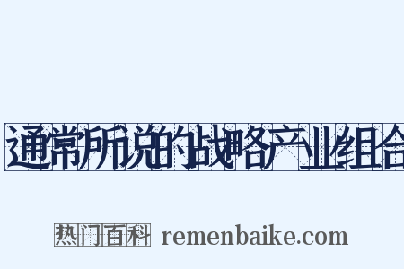 通常所说的战略产业组合是什么意思的图片
